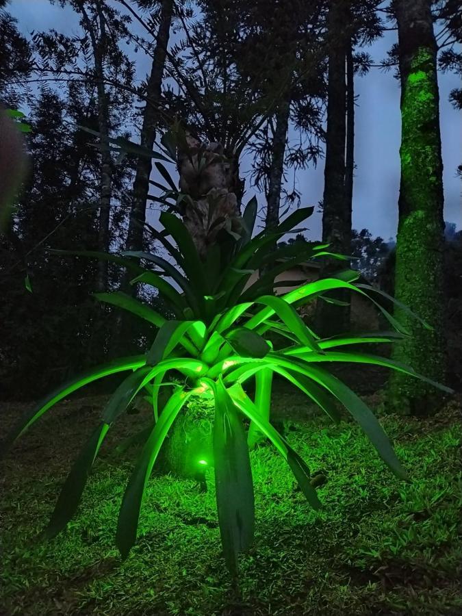 Chales Descanso Na Serra Monte Verde  Kültér fotó