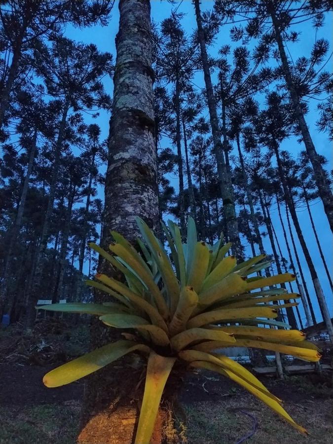Chales Descanso Na Serra Monte Verde  Kültér fotó